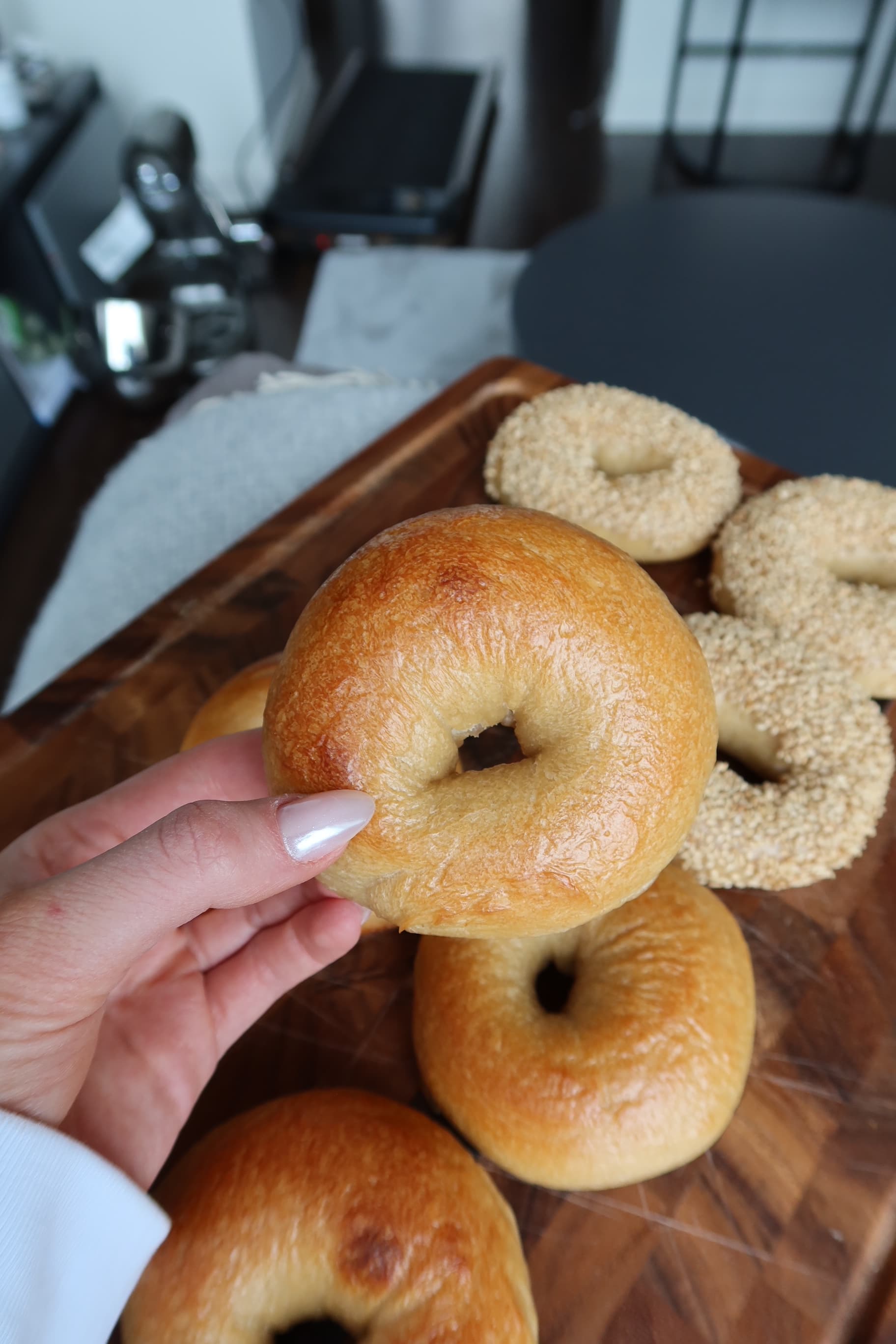Hand holding fresh plain bagel